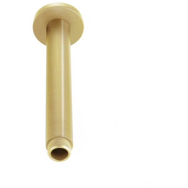Round Ceiling Mounted Arm