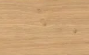 Oak