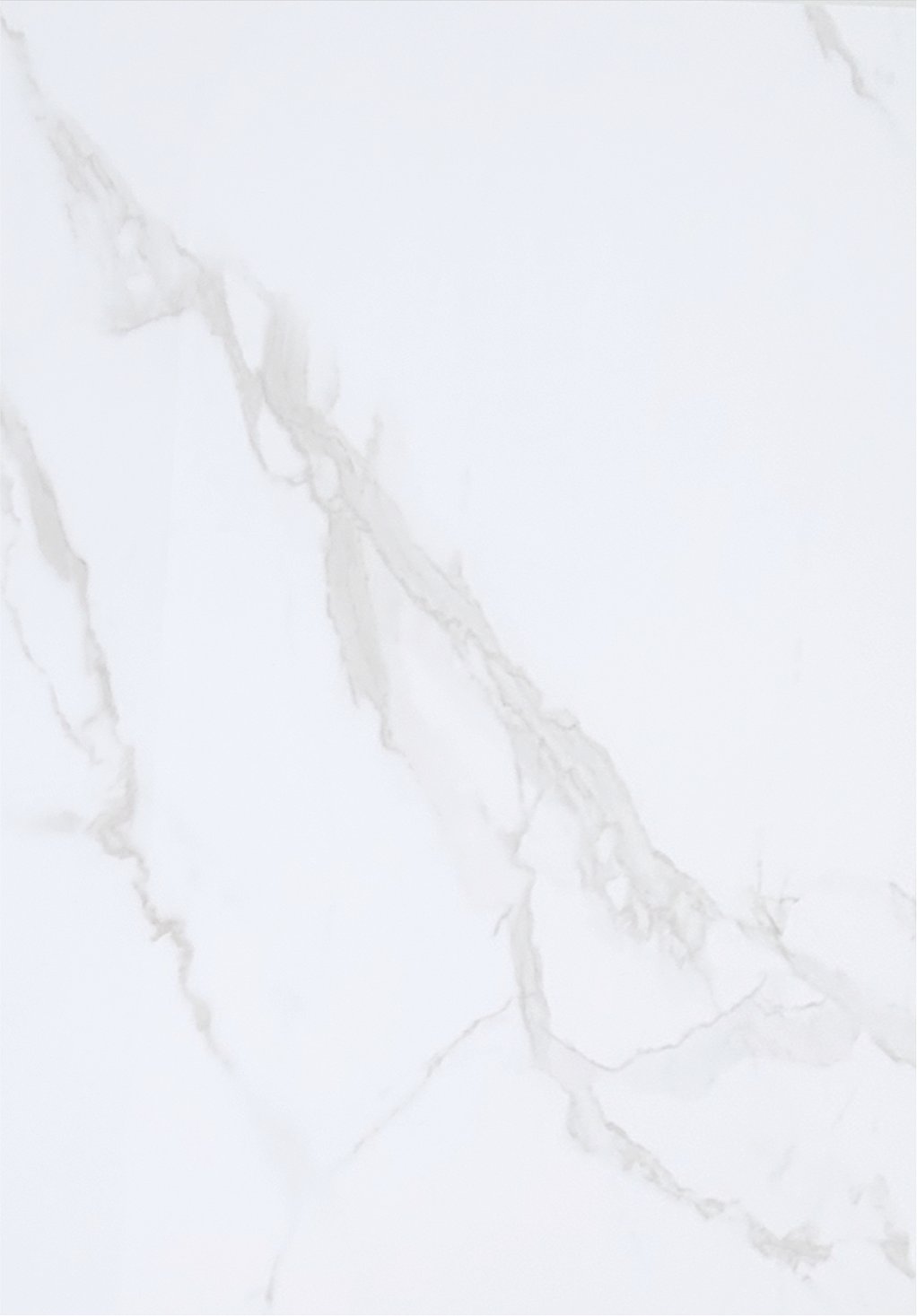 10mm Carrara Marble Gloss - Solid Core PETG (NJPJ796) 2.4m