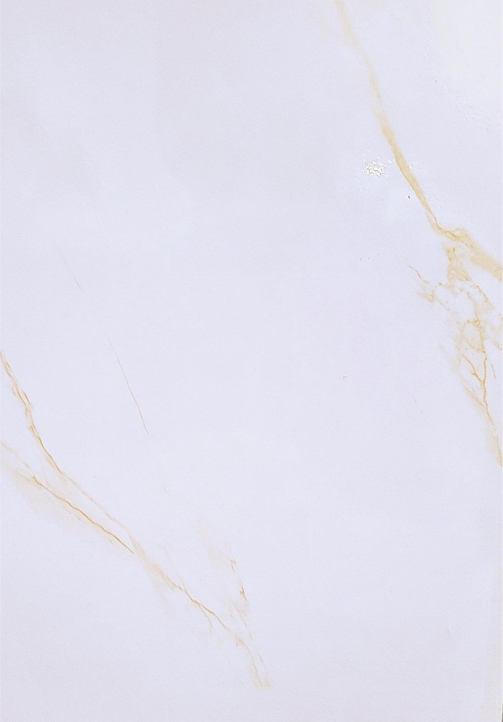 10mm Solid - Oro Bianco Gloss 2.4m