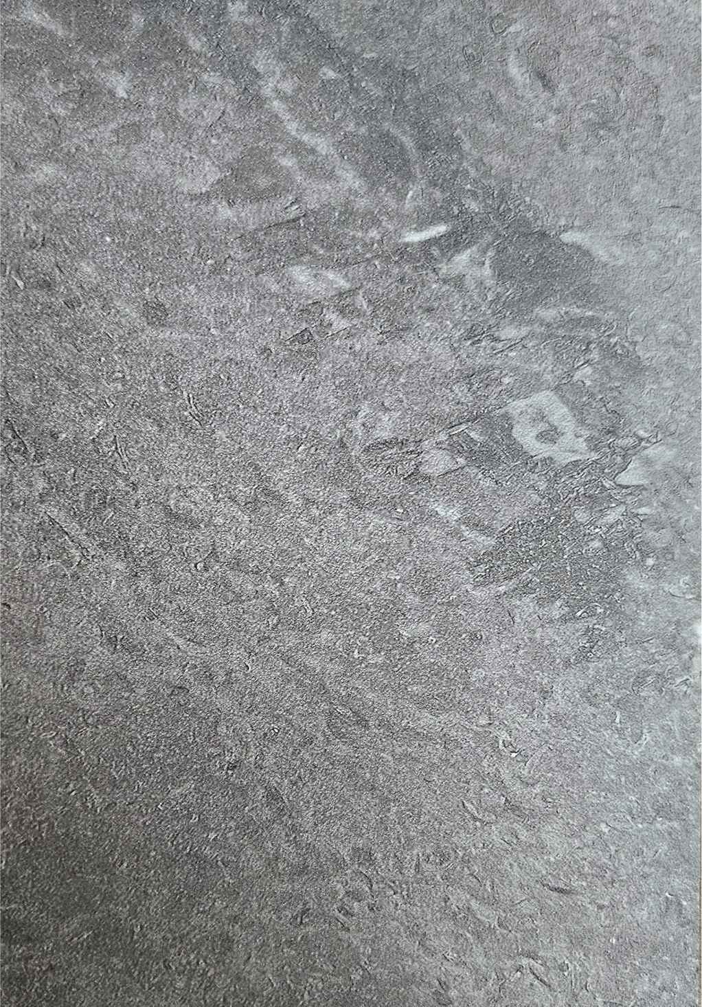 10mm Solid - Persian Grey Embossed 2.4m