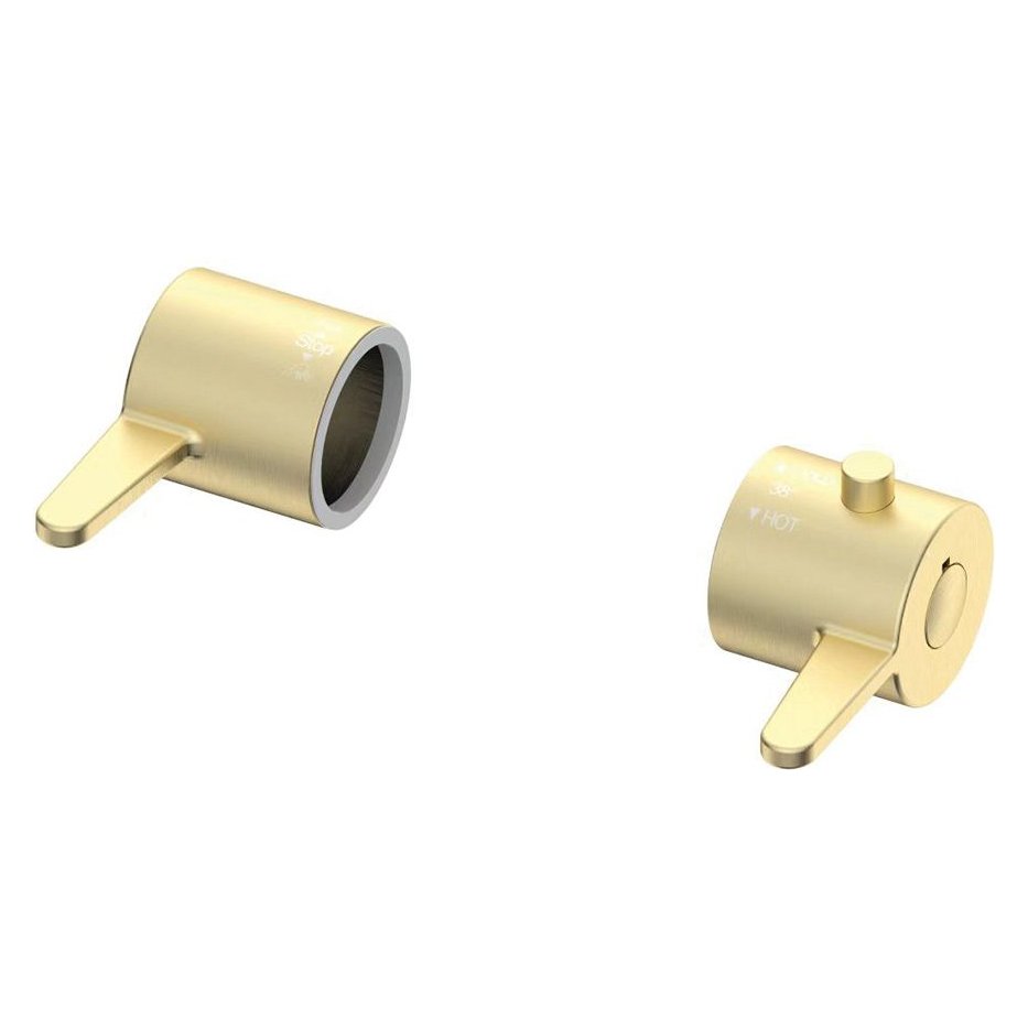 Lever Handles for Spey Shower Brushed Brass