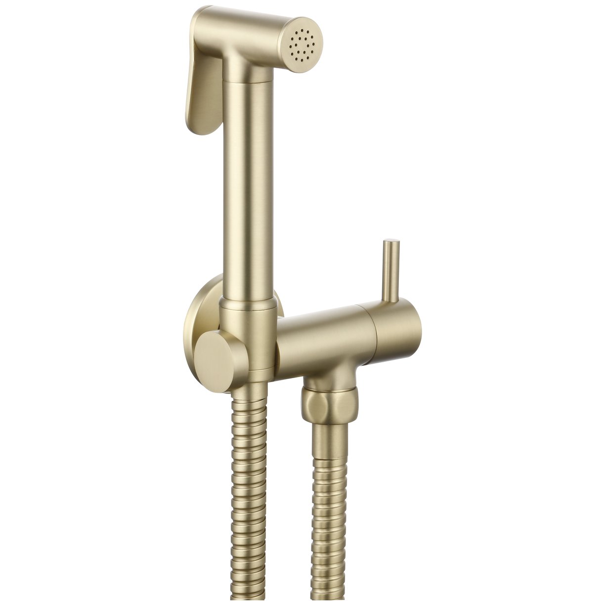 Annan Douche & Iso Valve Round Brushed Brass