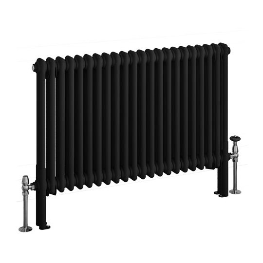 Imperia 2 Column Radiator 600 x 1010mm