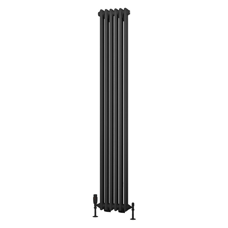 Rivassa 2 Column Rad. 1800x293mm Matt Anthracite