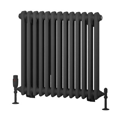 Rivassa 2 Column Rad. 600x608mm Matt Anthracite