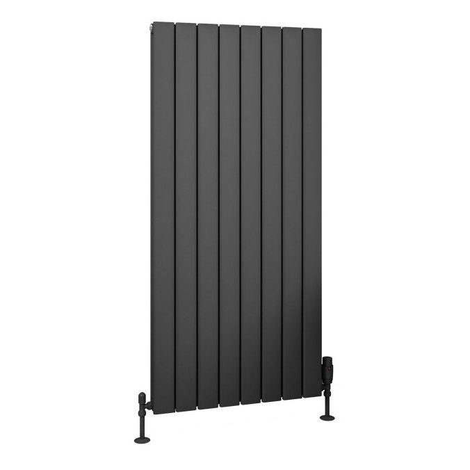 Hadleigh 1200 x 555 Aluminium Radiator