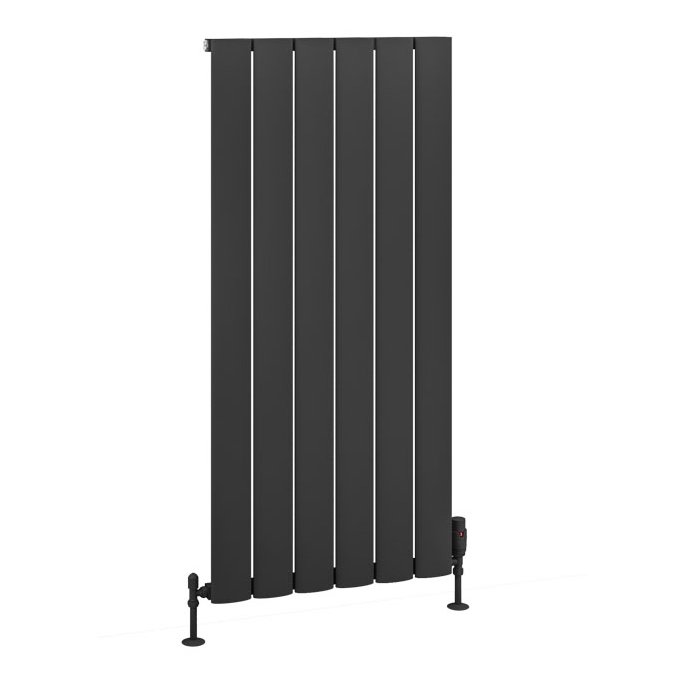 Malmesbury 1200 x 565 Aluminium Radiator