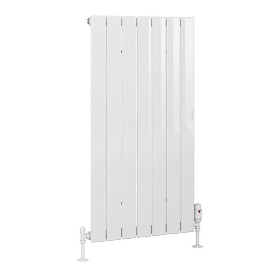 Addington 1000 x 514 Radiator Type10 Gloss White