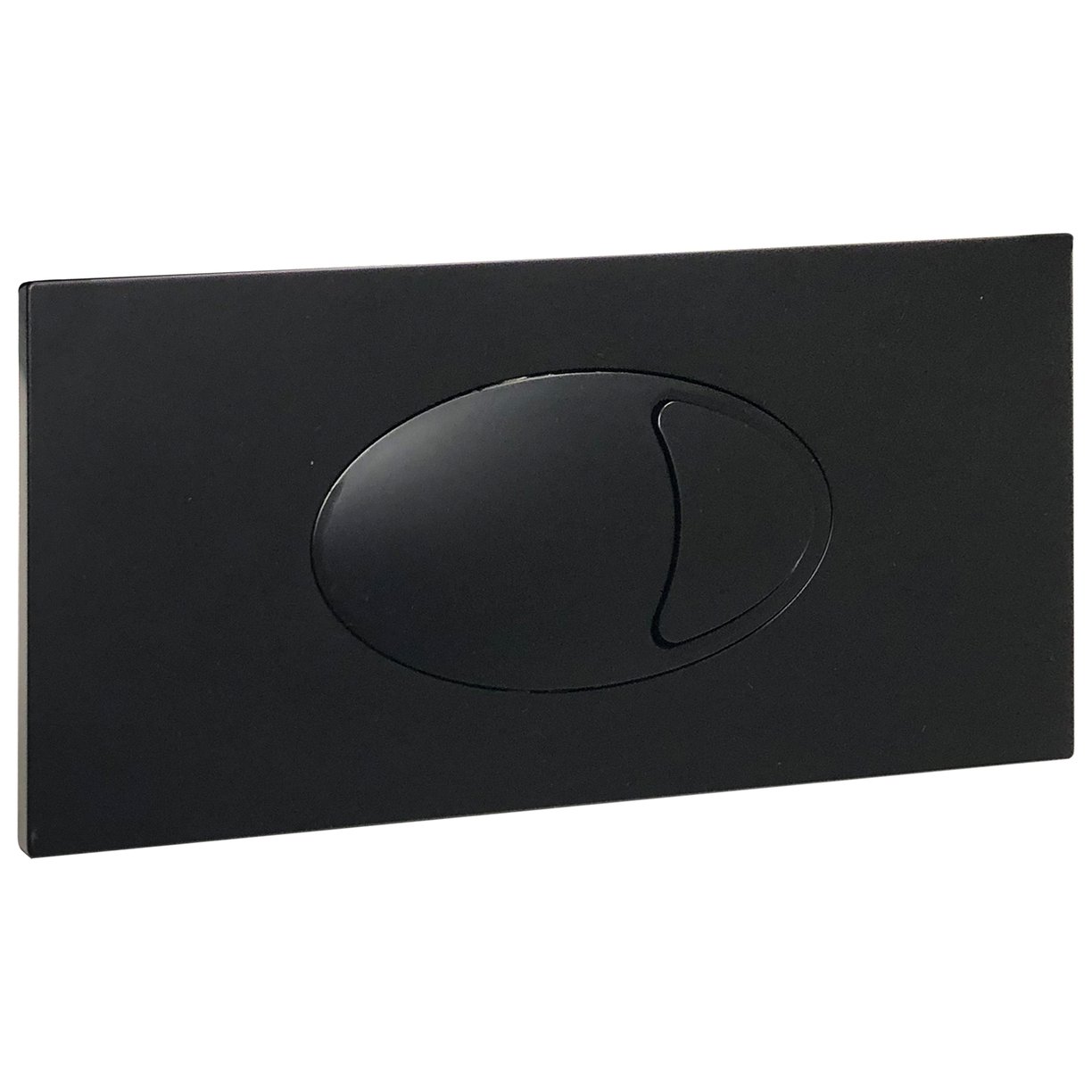 Large Black Dual flush plate & access panel 240 x 120mm