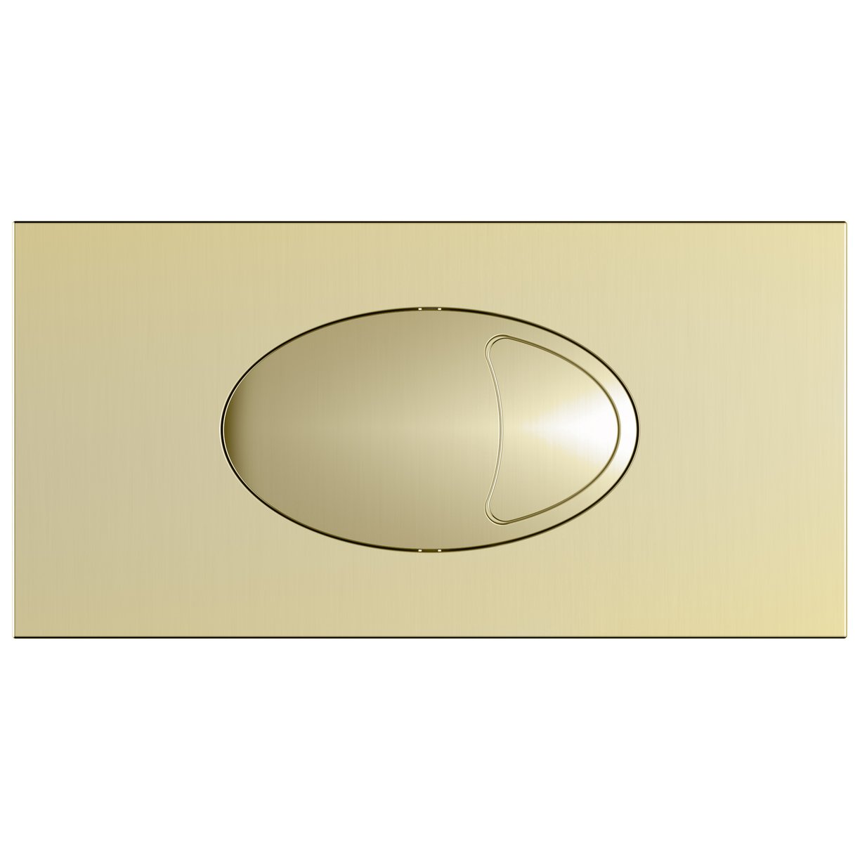 Large Brass dual flush plate & access panel 240x120mm
