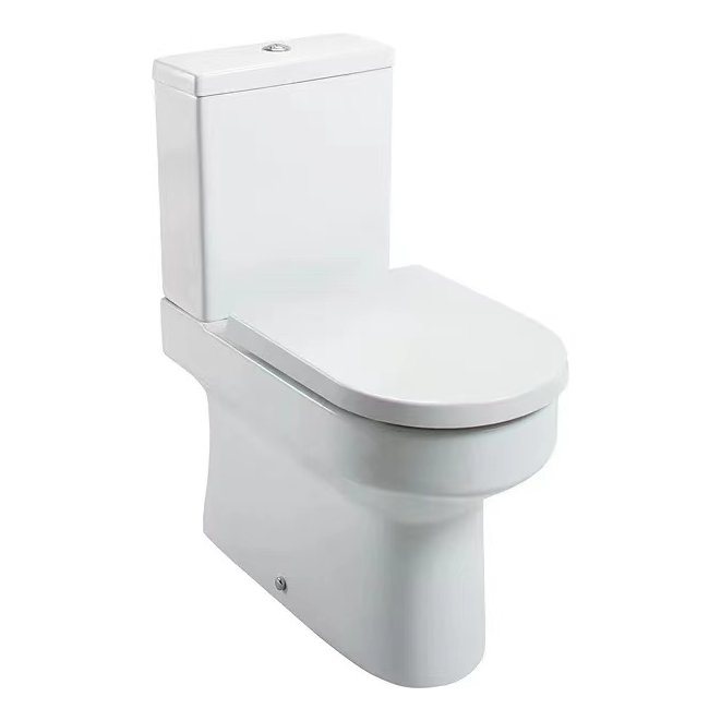 Spa Rimless Toilet Back To Wall