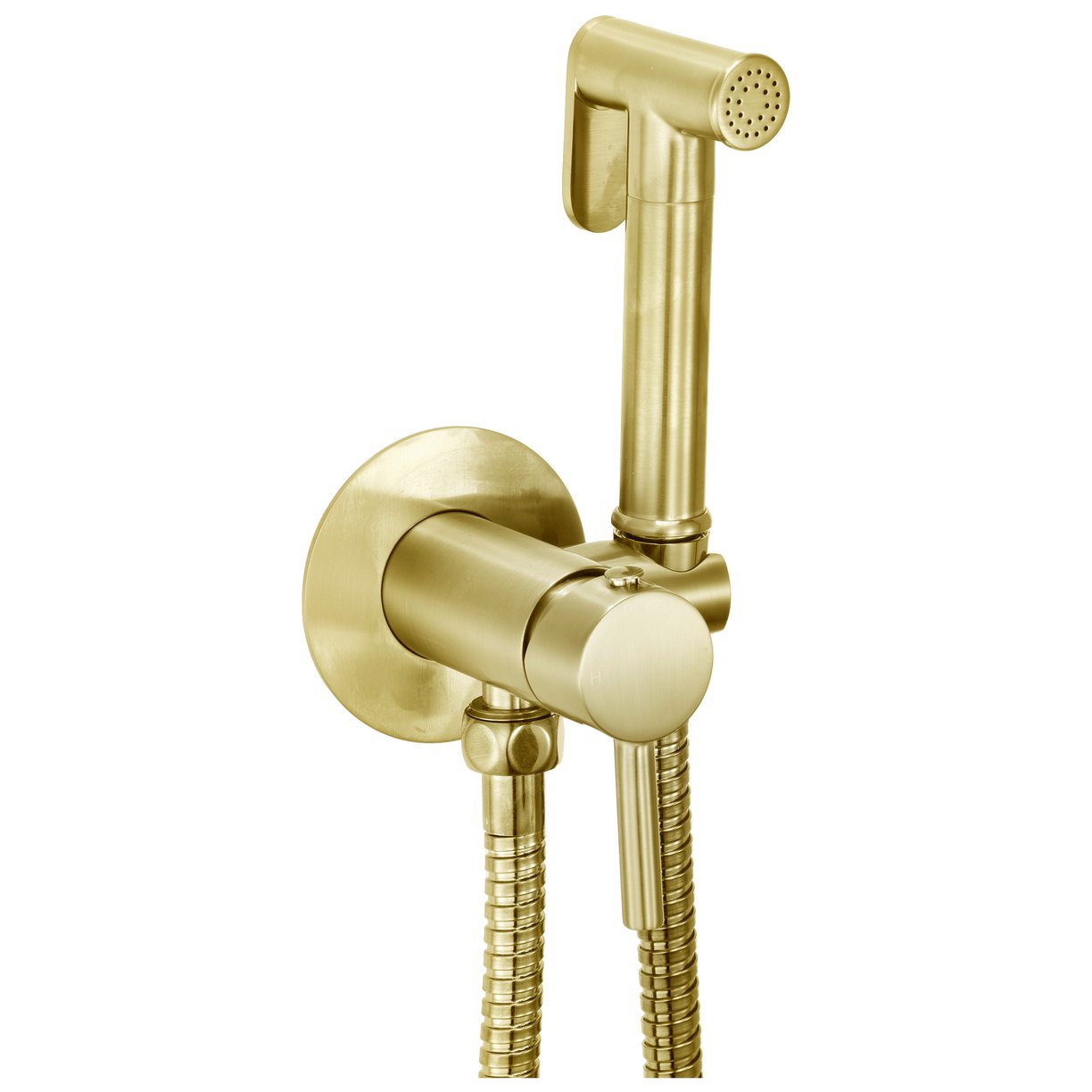 MOQ Integrated Douche Valve Kit, Brushed Brass