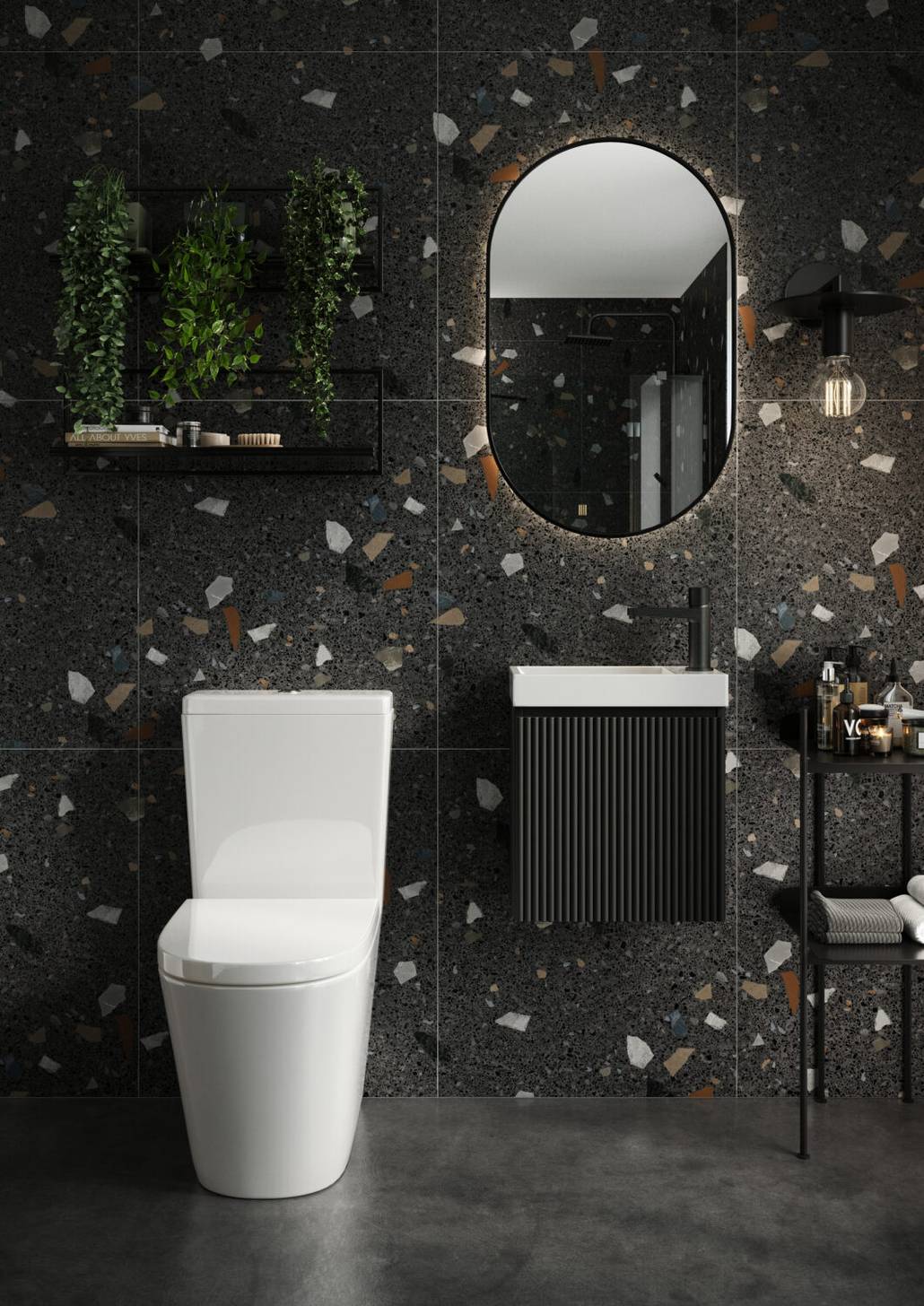 Linea Fully Back to Wall Pan & Seat, Rimless WHT Fittings