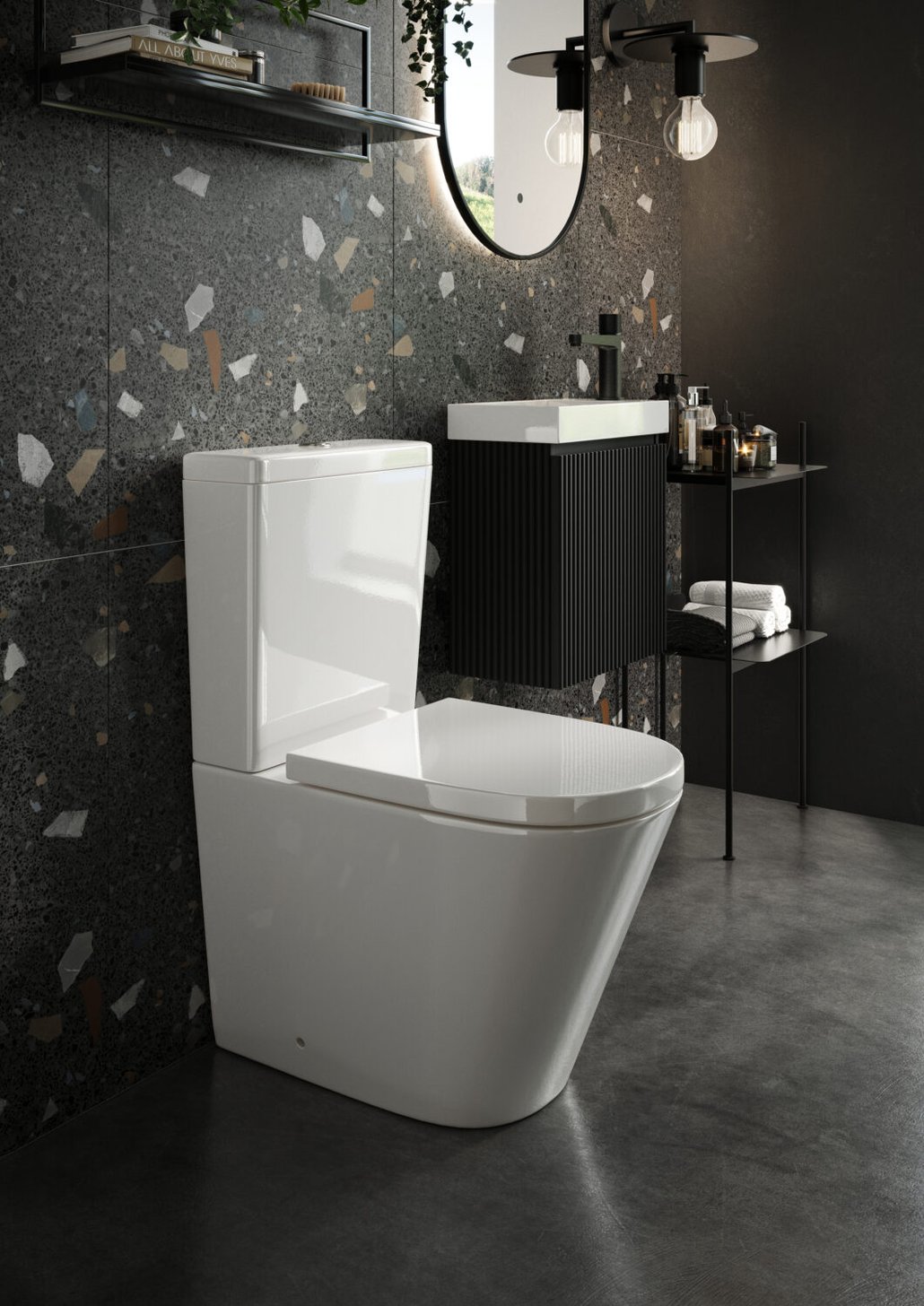 Linea Fully Back to Wall Pan & Seat, Rimless WHT Fittings