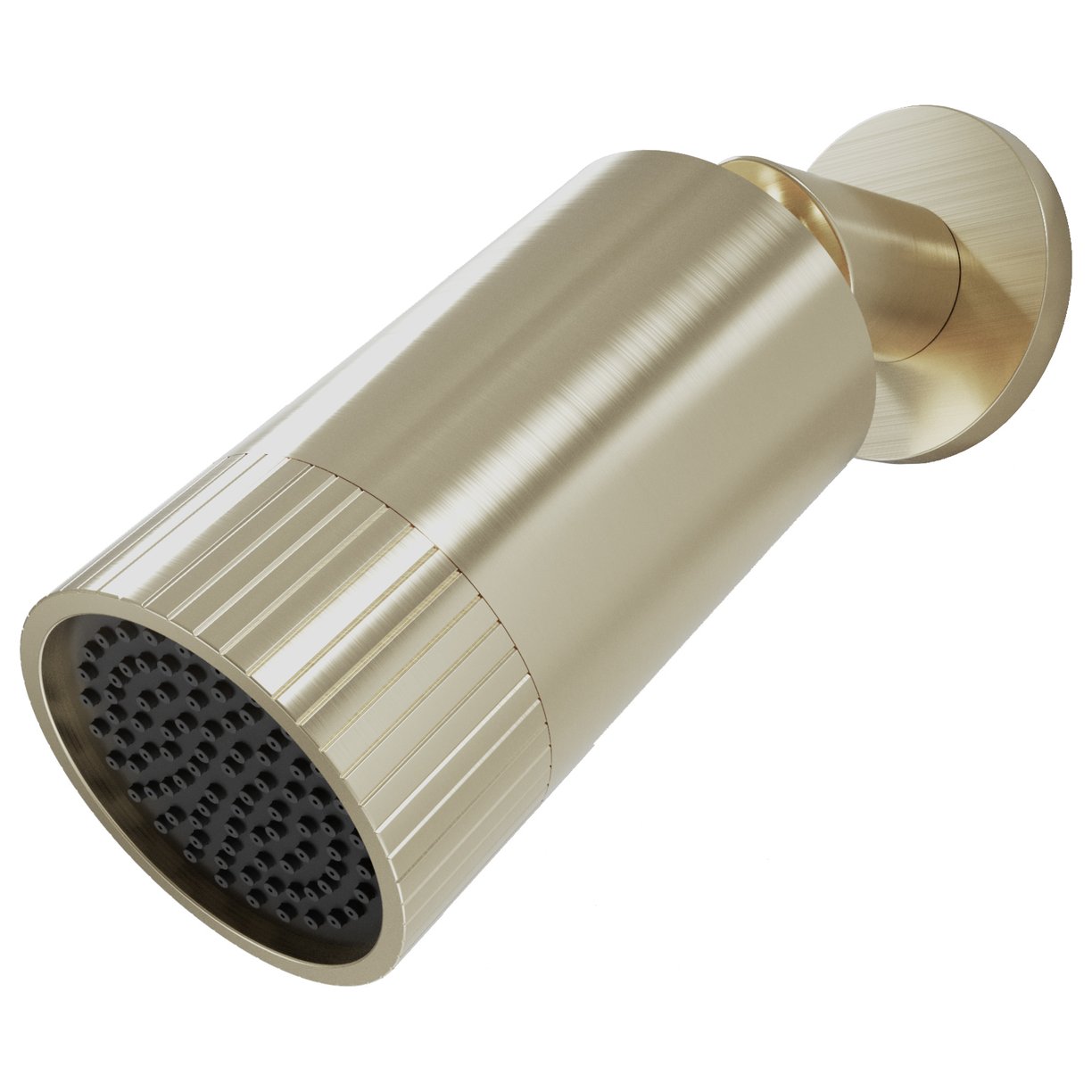 Spotlight Shower Head Brushed Brass