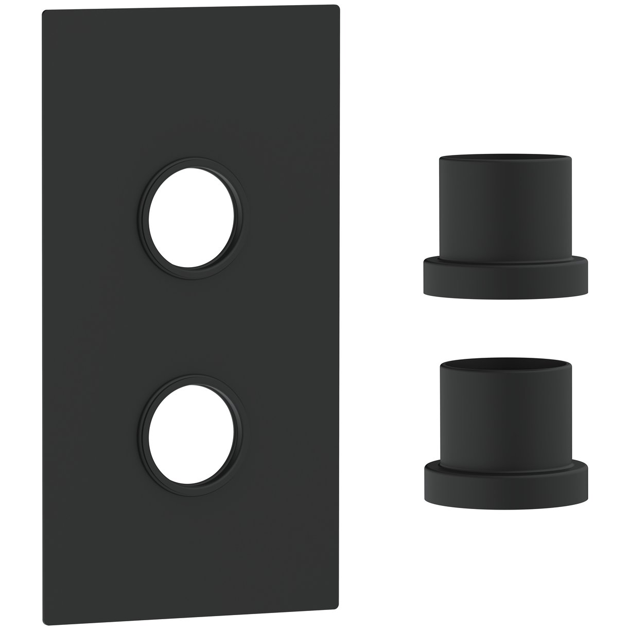 Concealed Plate (2 Outlets) Black with Sleeve