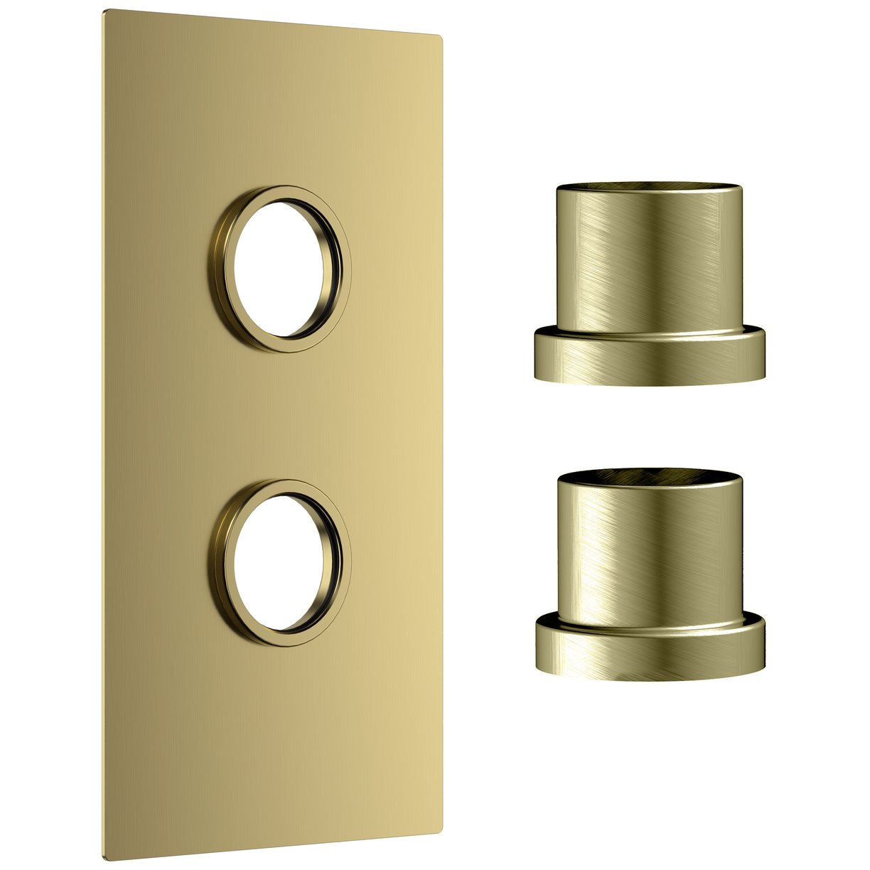 Concealed Plate (2 Outlets) Brushed Brass with Sleeve